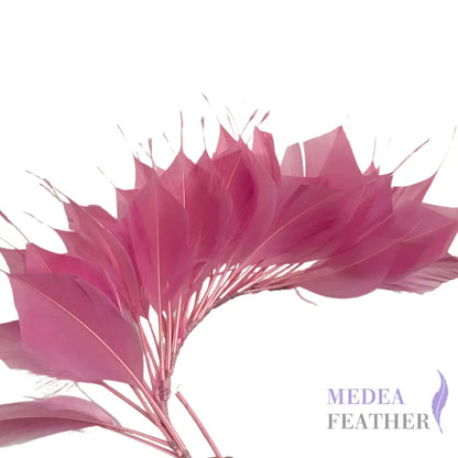 Spiky Goose Feather Wired Hat Mount DS25050D - #94 begonia pink