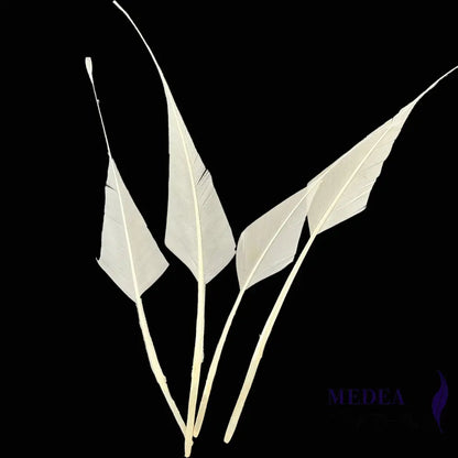Spiky Hard Goose Feather-Pack of 20 - #01 Ivory