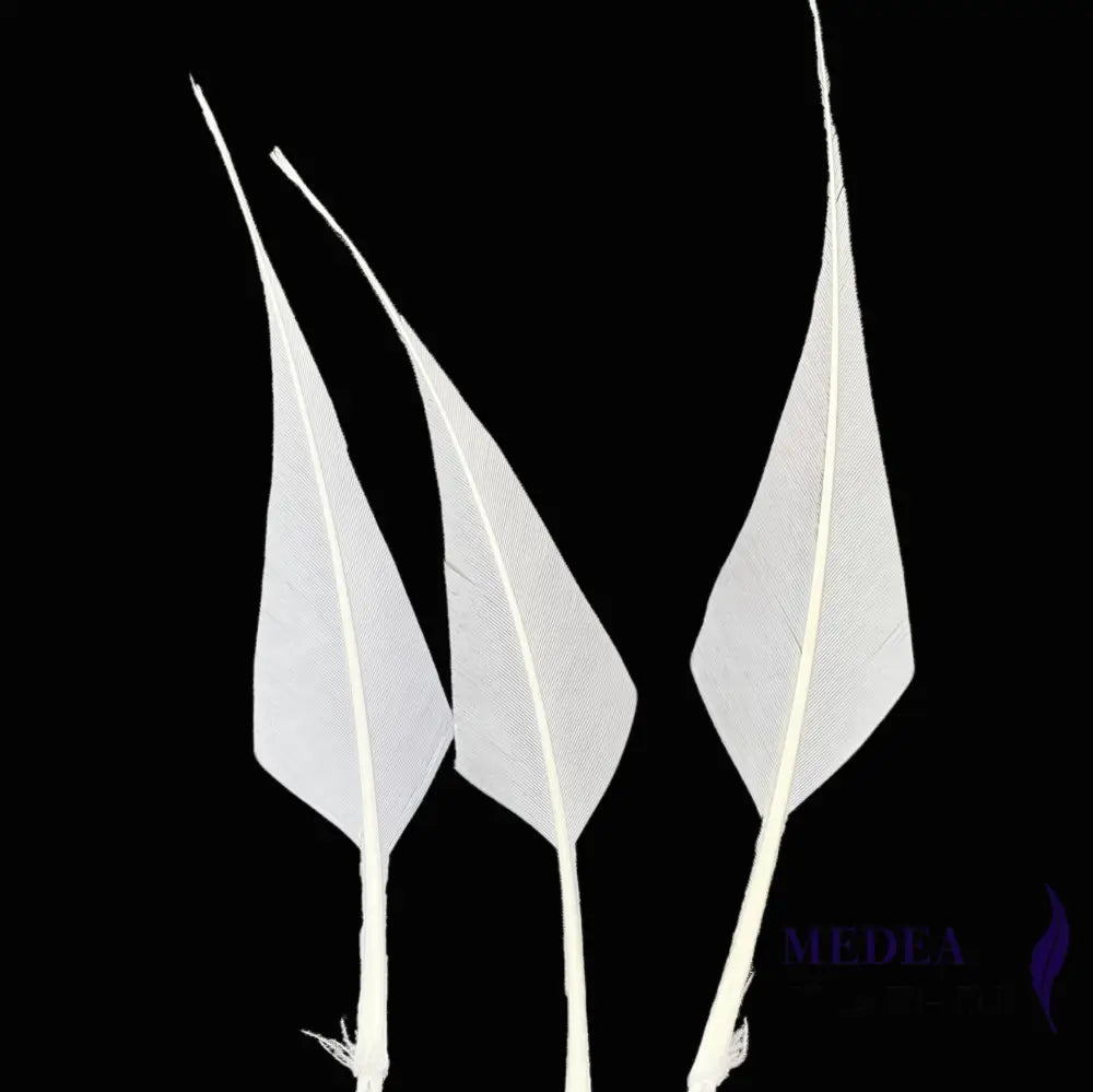 Spiky Hard Goose Feather-Pack of 20 - #02 white