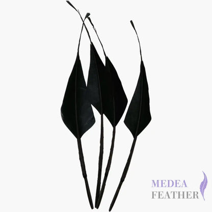 Spiky Hard Goose Feather-Pack of 20 - #03 black