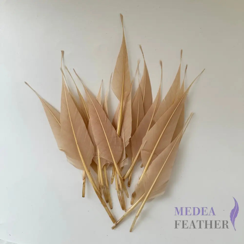 Spiky Hard Goose Feather-Pack of 20 - #07 pink tint