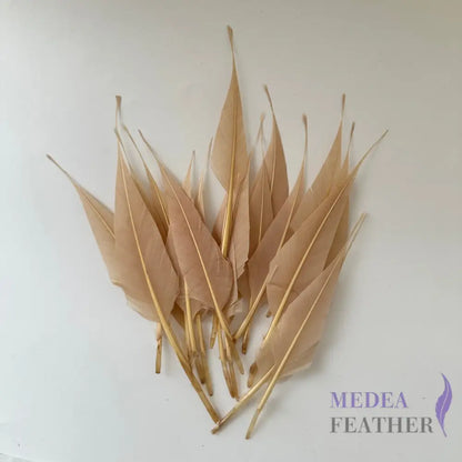 Spiky Hard Goose Feather-Pack of 20 - #07 pink tint