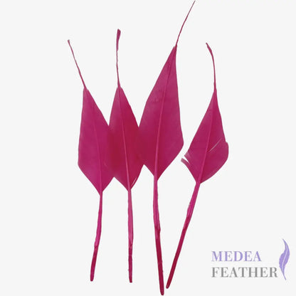 Spiky Hard Goose Feather-Pack of 20 - #101 Fandango pink