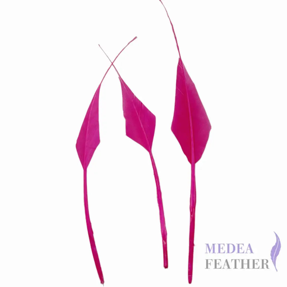 Spiky Hard Goose Feather-Pack of 20 - #101 Fandango pink