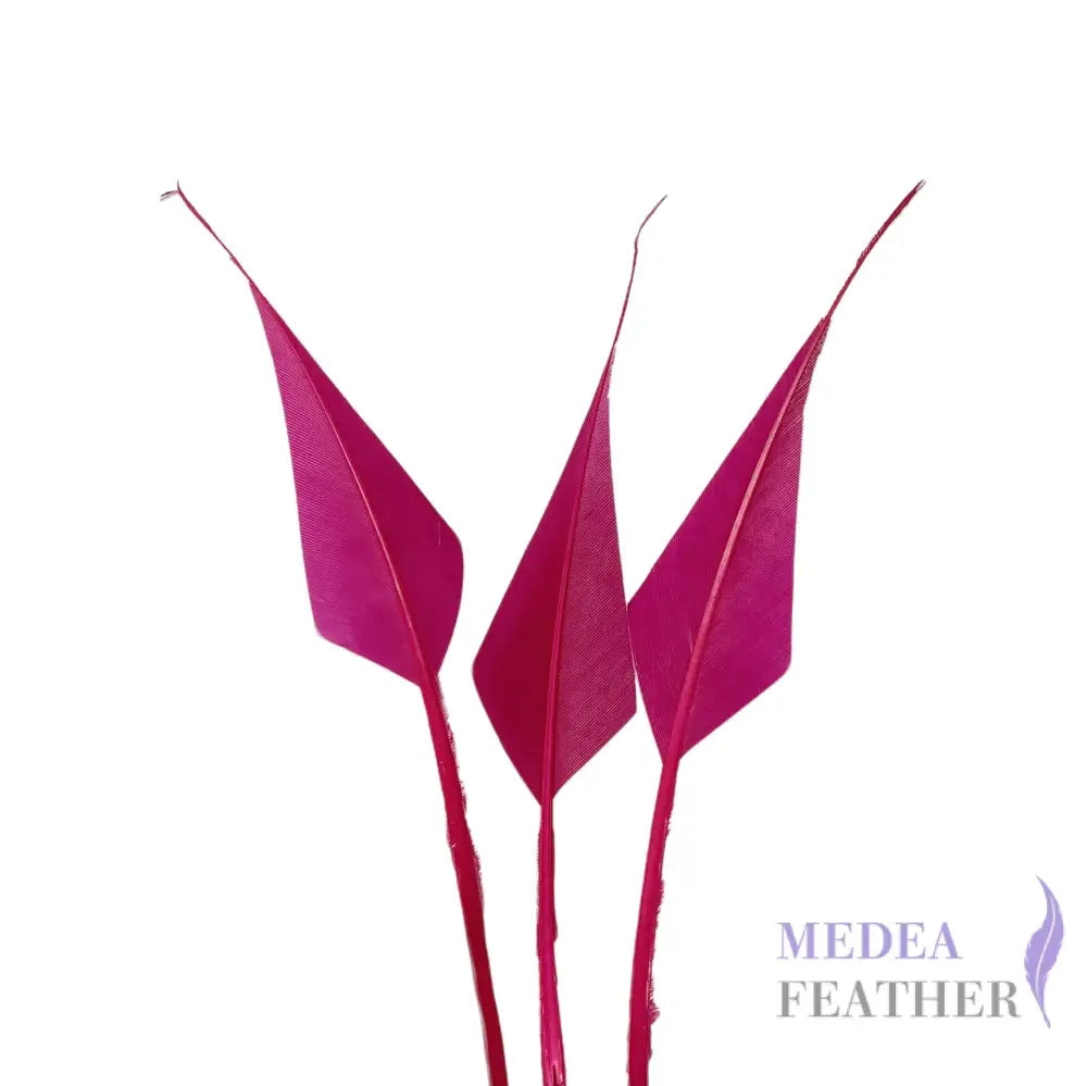 Spiky Hard Goose Feather-Pack of 20 - #102 magenta haze