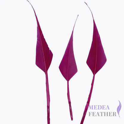 Spiky Hard Goose Feather-Pack of 20 - #102 magenta haze
