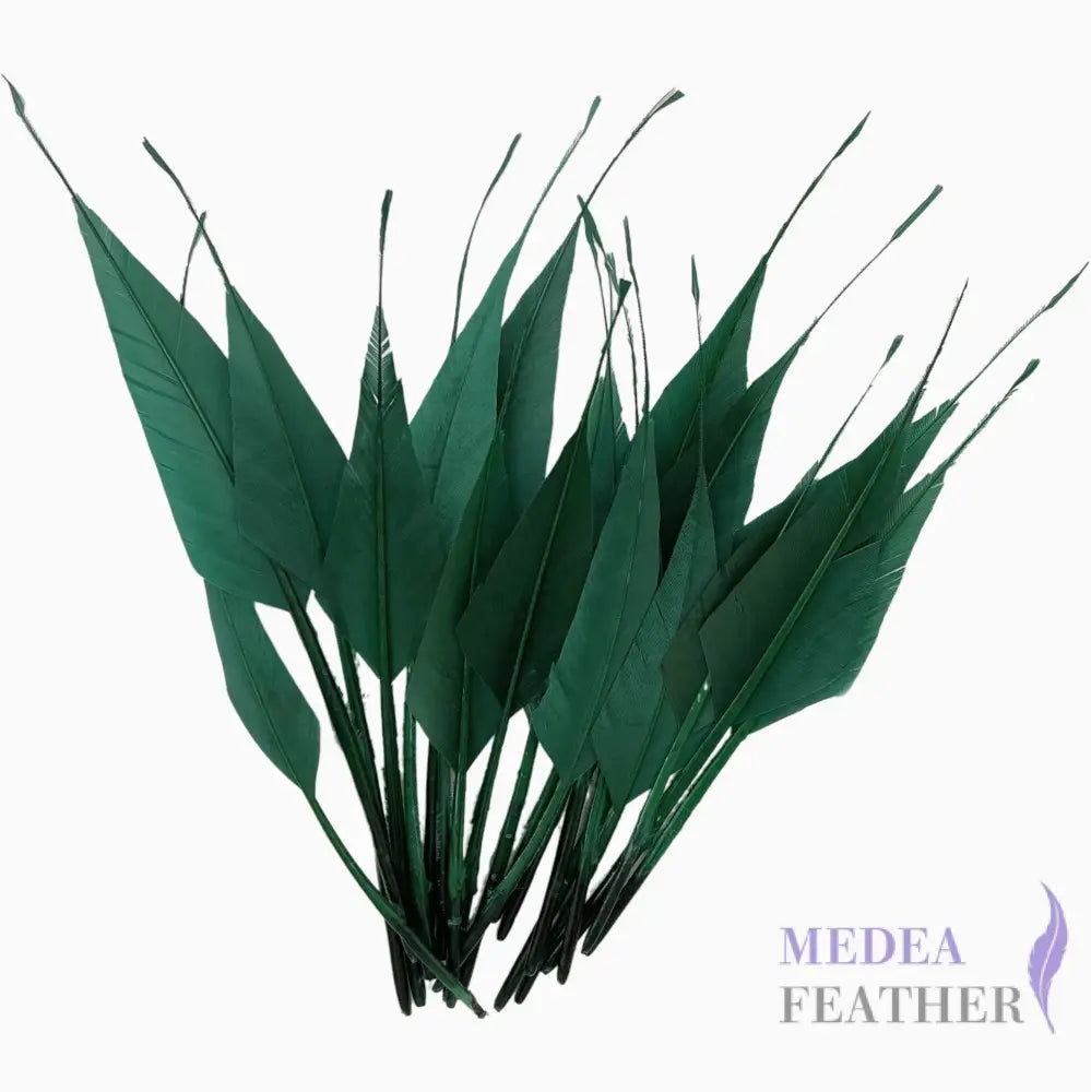 Spiky Hard Goose Feather-Pack of 20