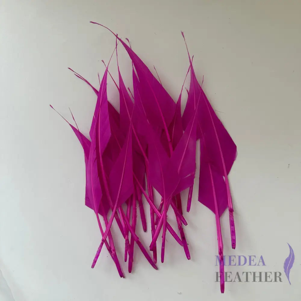 Spiky Hard Goose Feather-Pack of 20 - #19 Festival Fuchsia