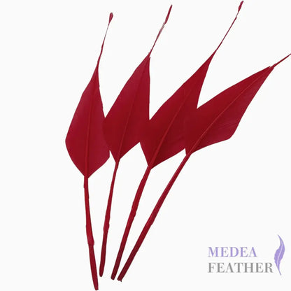 Spiky Hard Goose Feather-Pack of 20 - #22 red