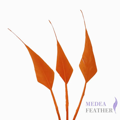 Spiky Hard Goose Feather-Pack of 20 - #24 carrot