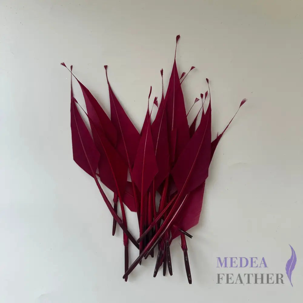 Spiky Hard Goose Feather-Pack of 20 - #35 raspberry radiance