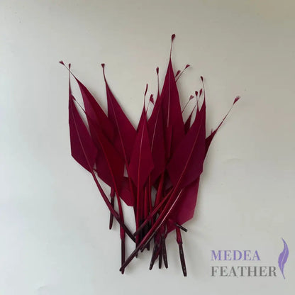 Spiky Hard Goose Feather-Pack of 20 - #35 raspberry radiance