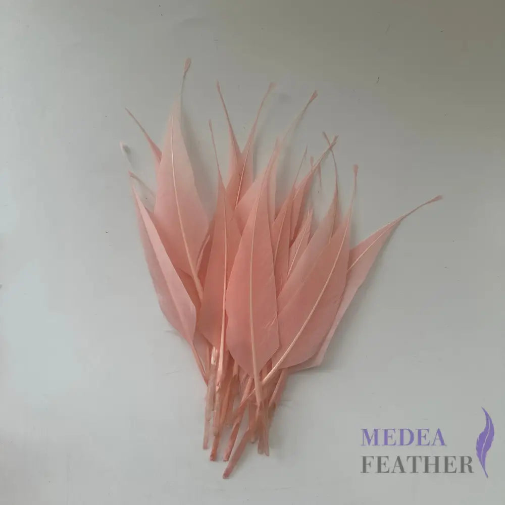 Spiky Hard Goose Feather-Pack of 20 - #46 bloosom