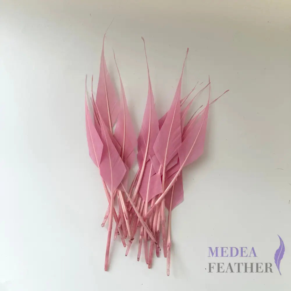 Spiky Hard Goose Feather-Pack of 20 - #49 pink mist