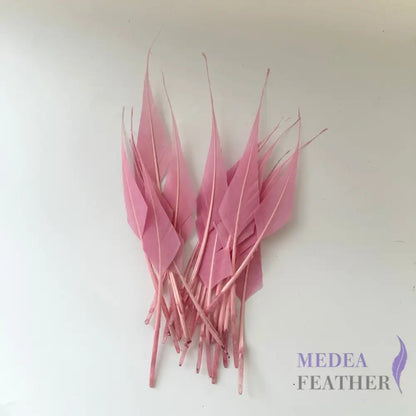 Spiky Hard Goose Feather-Pack of 20 - #49 pink mist
