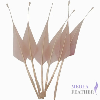 Spiky Hard Goose Feather-Pack of 20 - #50 light pink