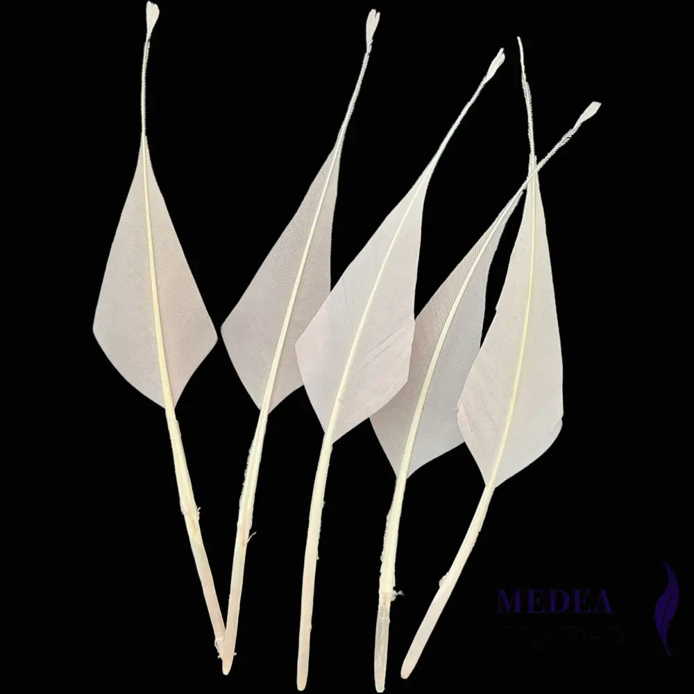 Spiky Hard Goose Feather-Pack of 20