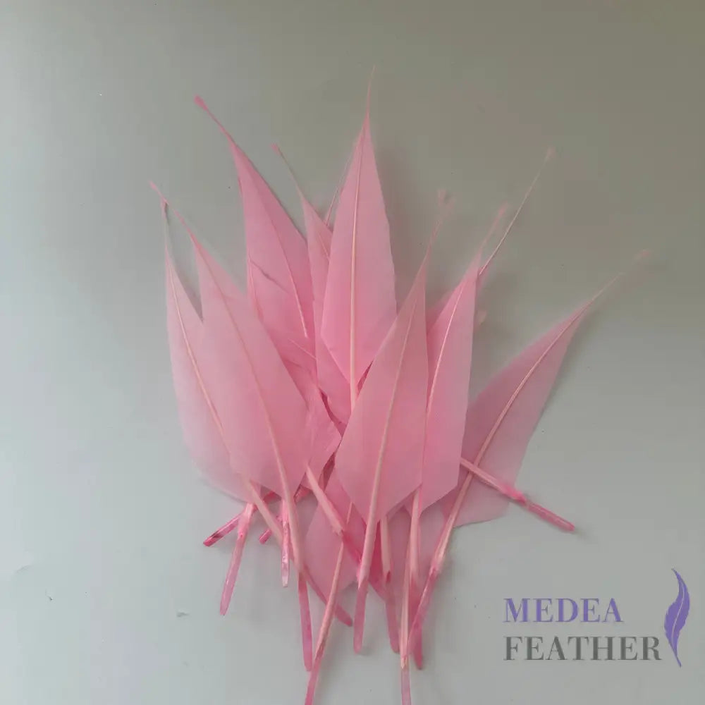 Spiky Hard Goose Feather-Pack of 20 - #51 pink