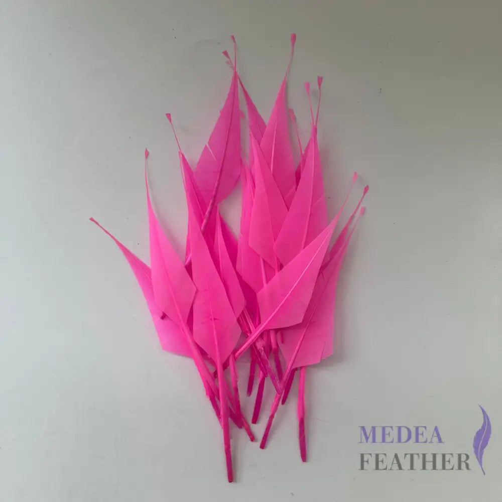 Spiky Hard Goose Feather-Pack of 20 - #52 neon pink