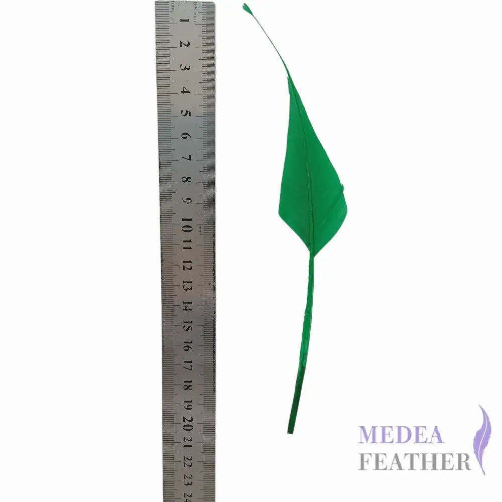 Spiky Hard Goose Feather-Pack of 20