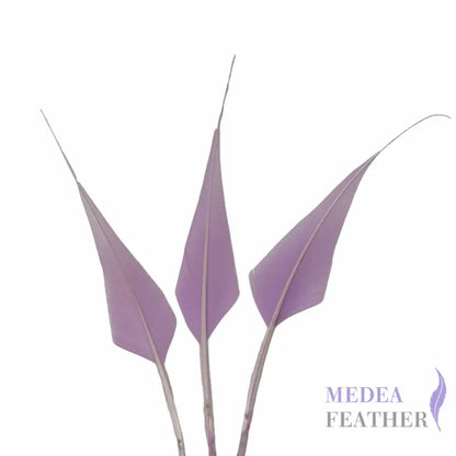 Spiky Hard Goose Feather-Pack of 20 - #53 lavendula
