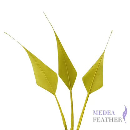 Spiky Hard Goose Feather-Pack of 20 - #57 cress green