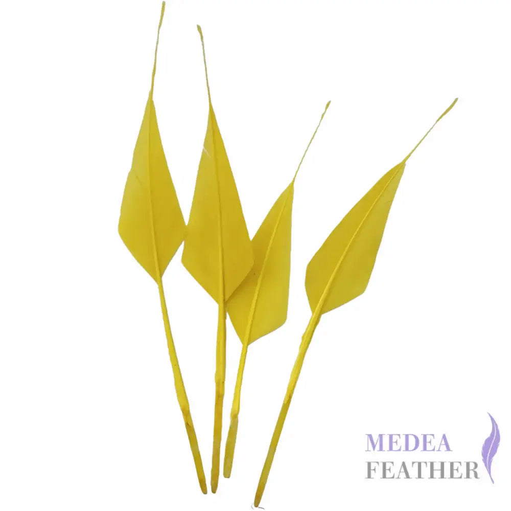 Spiky Hard Goose Feather-Pack of 20 - #58 yellow