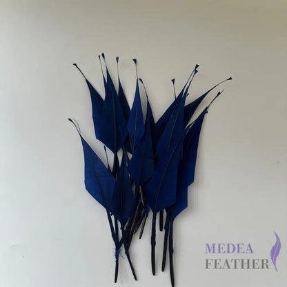 Spiky Hard Goose Feather-Pack of 20 - #65 navy
