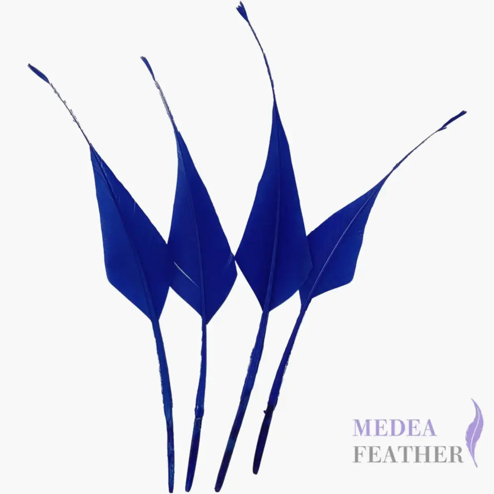 Spiky Hard Goose Feather-Pack of 20 - #67 royal blue