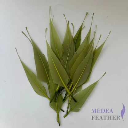 Spiky Hard Goose Feather-Pack of 20 - #68 calliste green