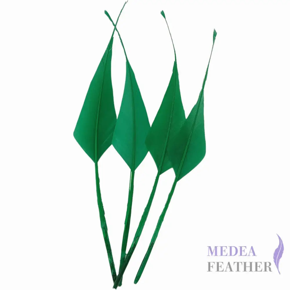 Spiky Hard Goose Feather-Pack of 20 - #70 bright green