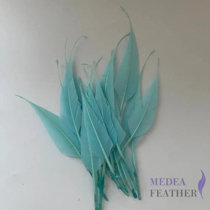 Spiky Hard Goose Feather-Pack of 20 - #75 light turquoise