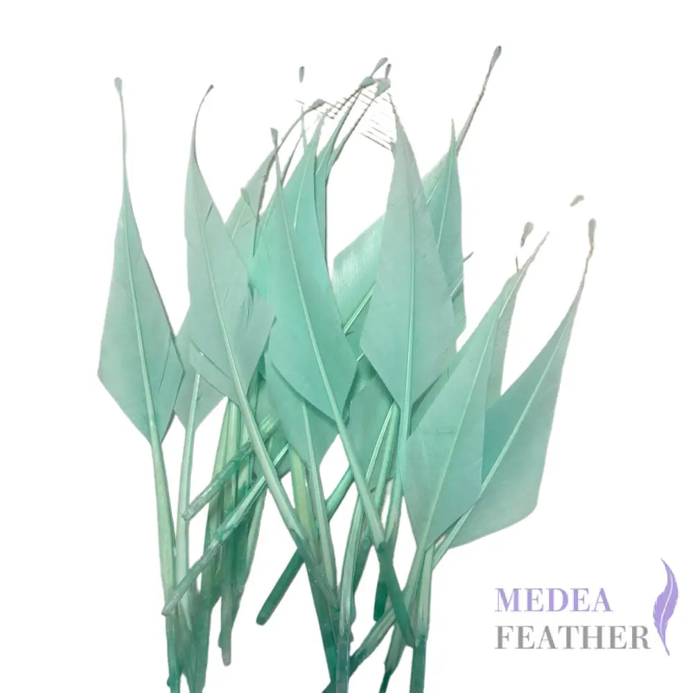 Spiky Hard Goose Feather-Pack of 20 - #76 Aqua
