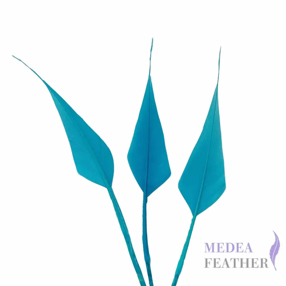 Spiky Hard Goose Feather-Pack of 20 - #78 turquoise