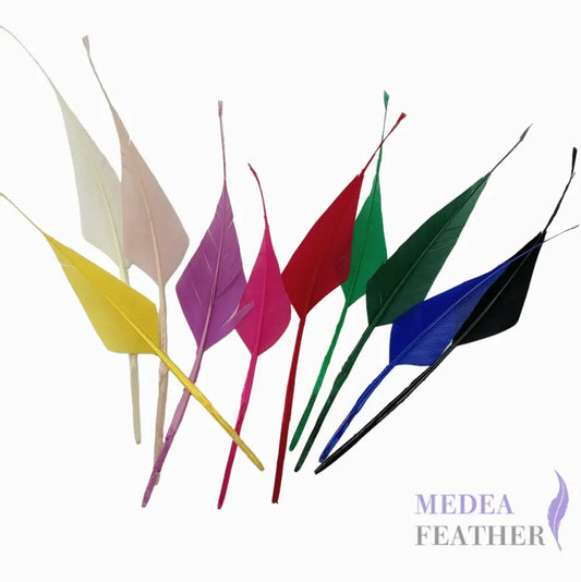 Spiky Hard Goose Feather-Pack of 20