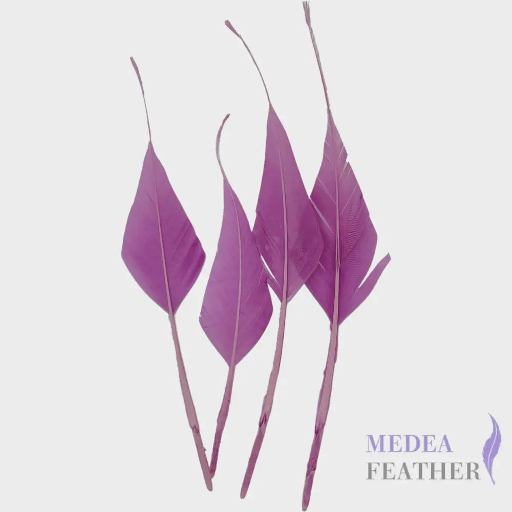 Spiky Hard Goose Feather-Pack of 20 - #95 violet