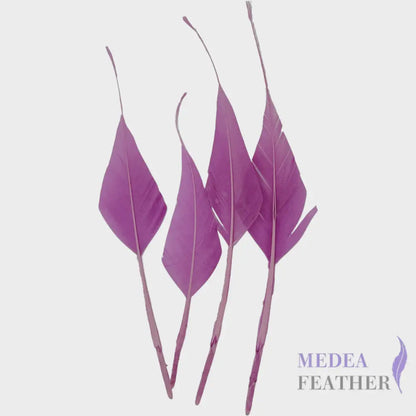 Spiky Hard Goose Feather-Pack of 20 - #95 violet