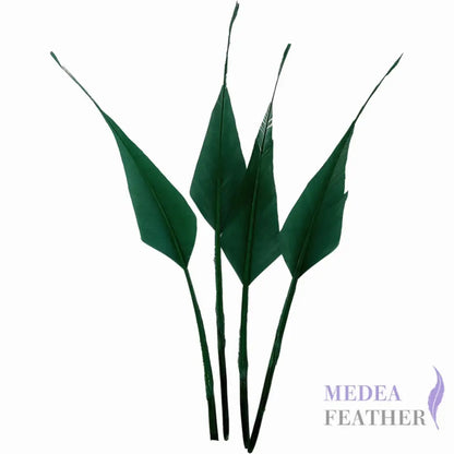 Spiky Hard Goose Feather-Pack of 20 - #96 dark green