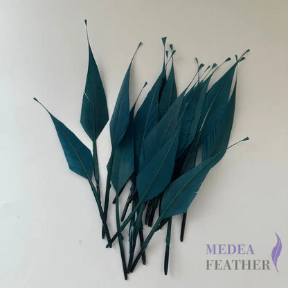 Spiky Hard Goose Feather-Pack of 20 - Jade