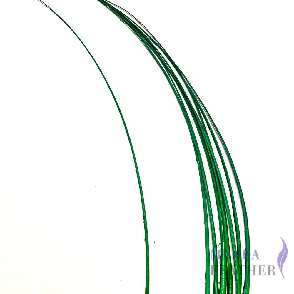 Stripped Ostrich Quill Feather Green / 1 piece ready-to-ship