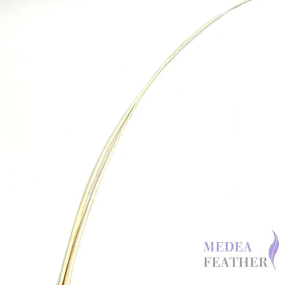Stripped Ostrich Quill Feather Ivory / 1 piece ready-to-ship