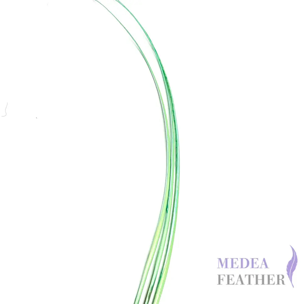 Stripped Ostrich Quill Feather Light green / 1 piece ready-to-ship