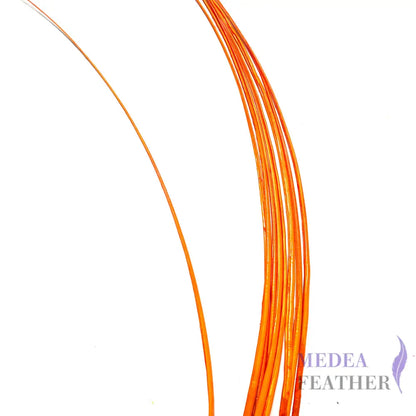 Stripped Ostrich Quill Feather Orange / 1 piece ready-to-ship