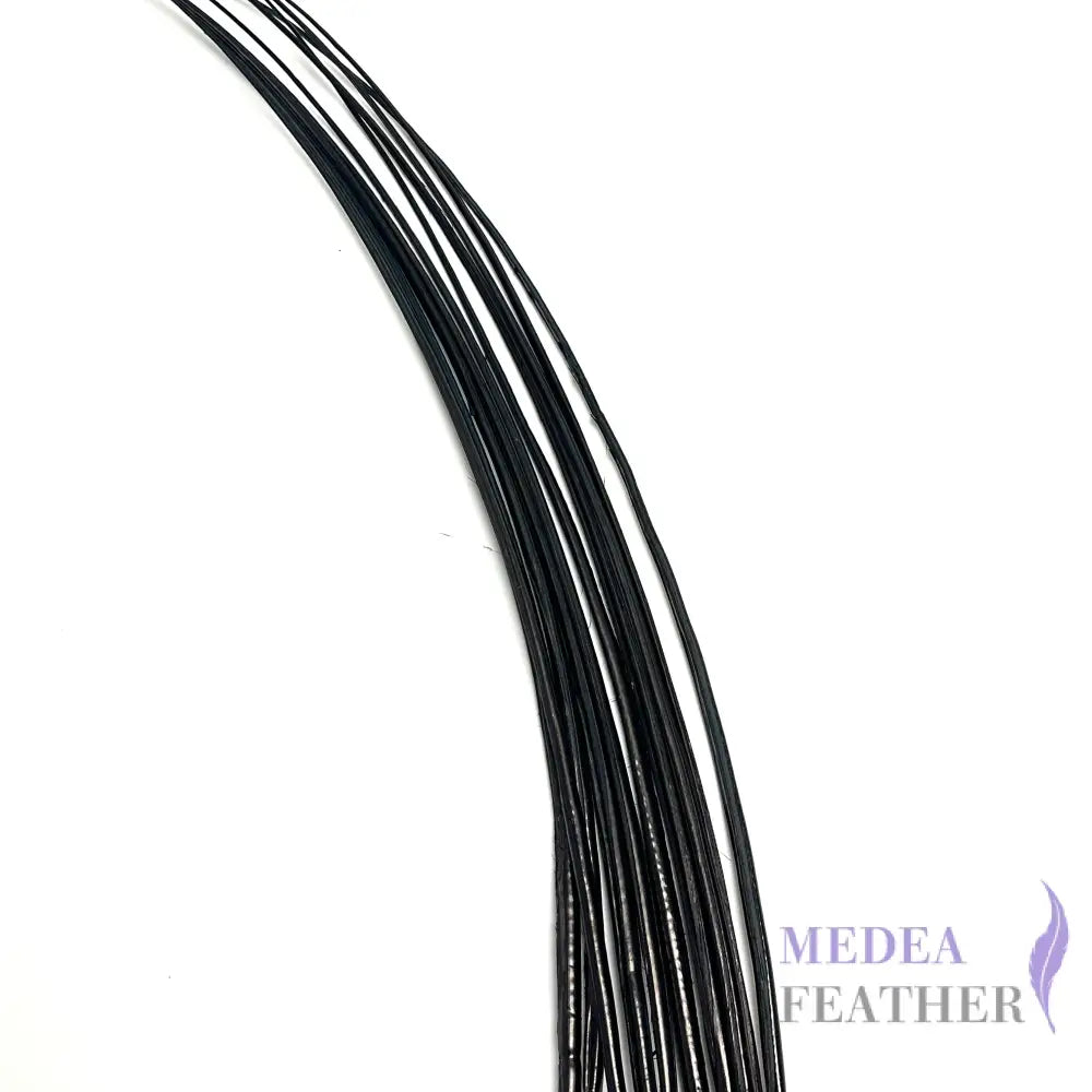 Stripped Ostrich Quill Feather ready-to-ship