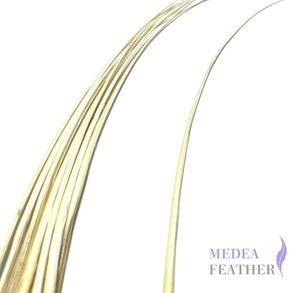 Stripped Ostrich Quill Feather ready-to-ship