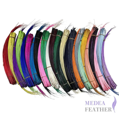Stripped Ostrich Quill Feather ready-to-ship