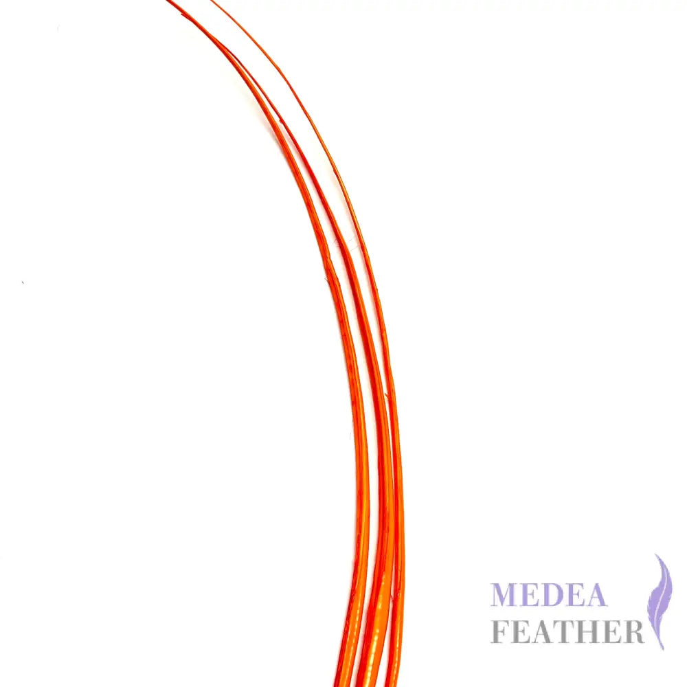 Stripped Ostrich Quill Feather ready-to-ship