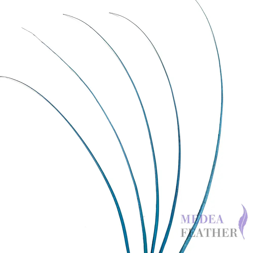 Stripped Ostrich Quill Feather ready-to-ship