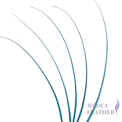 Stripped Ostrich Quill Feather ready-to-ship