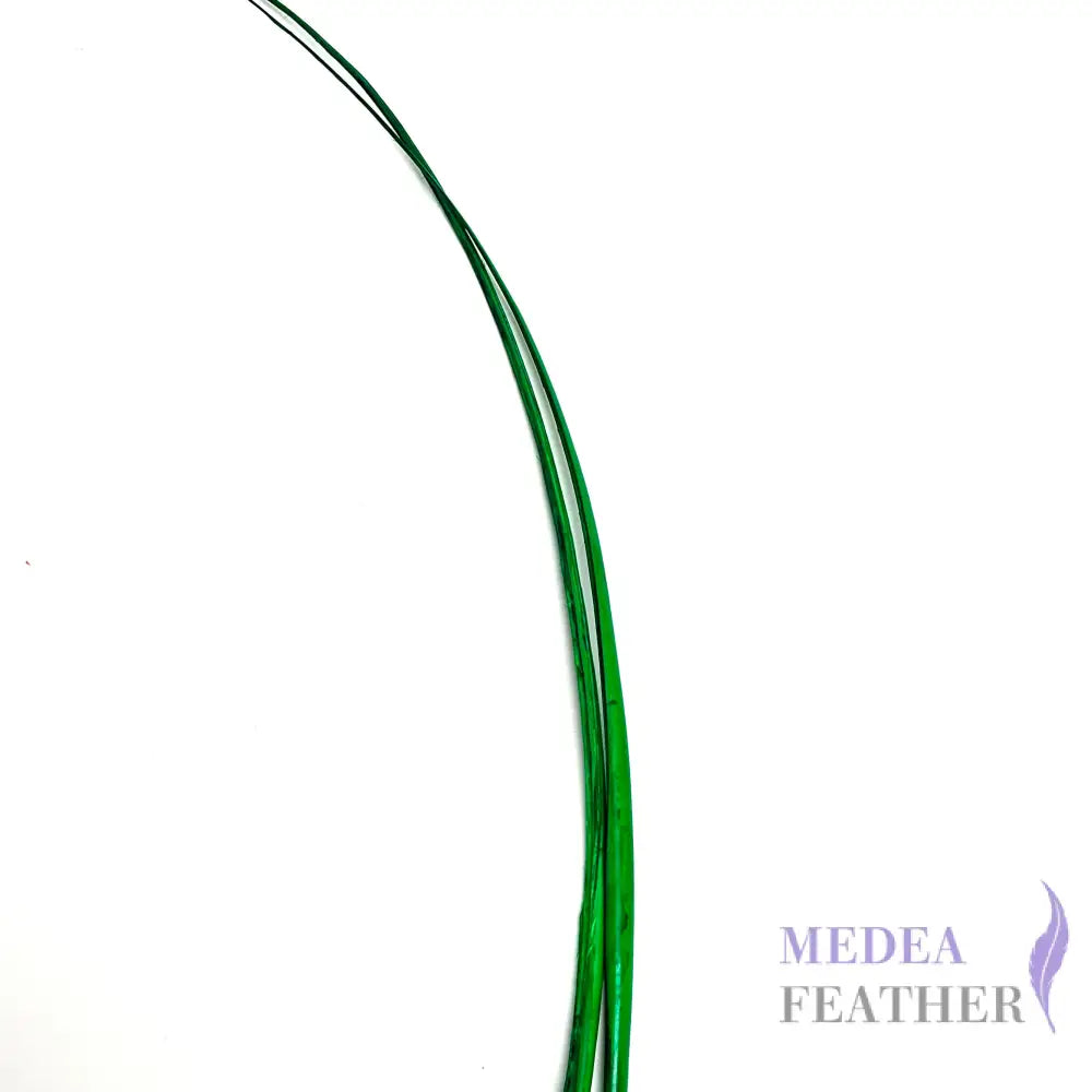 Stripped Ostrich Quill Feather ready-to-ship